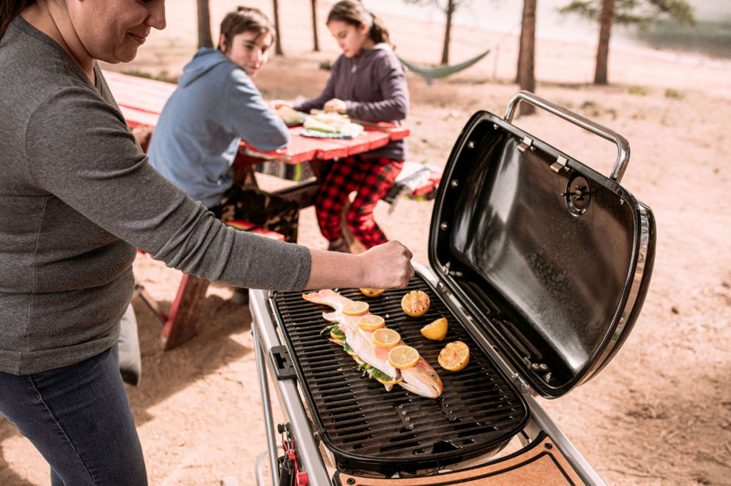 2025 Weber – Traveler Portable Gas Grill – Black
