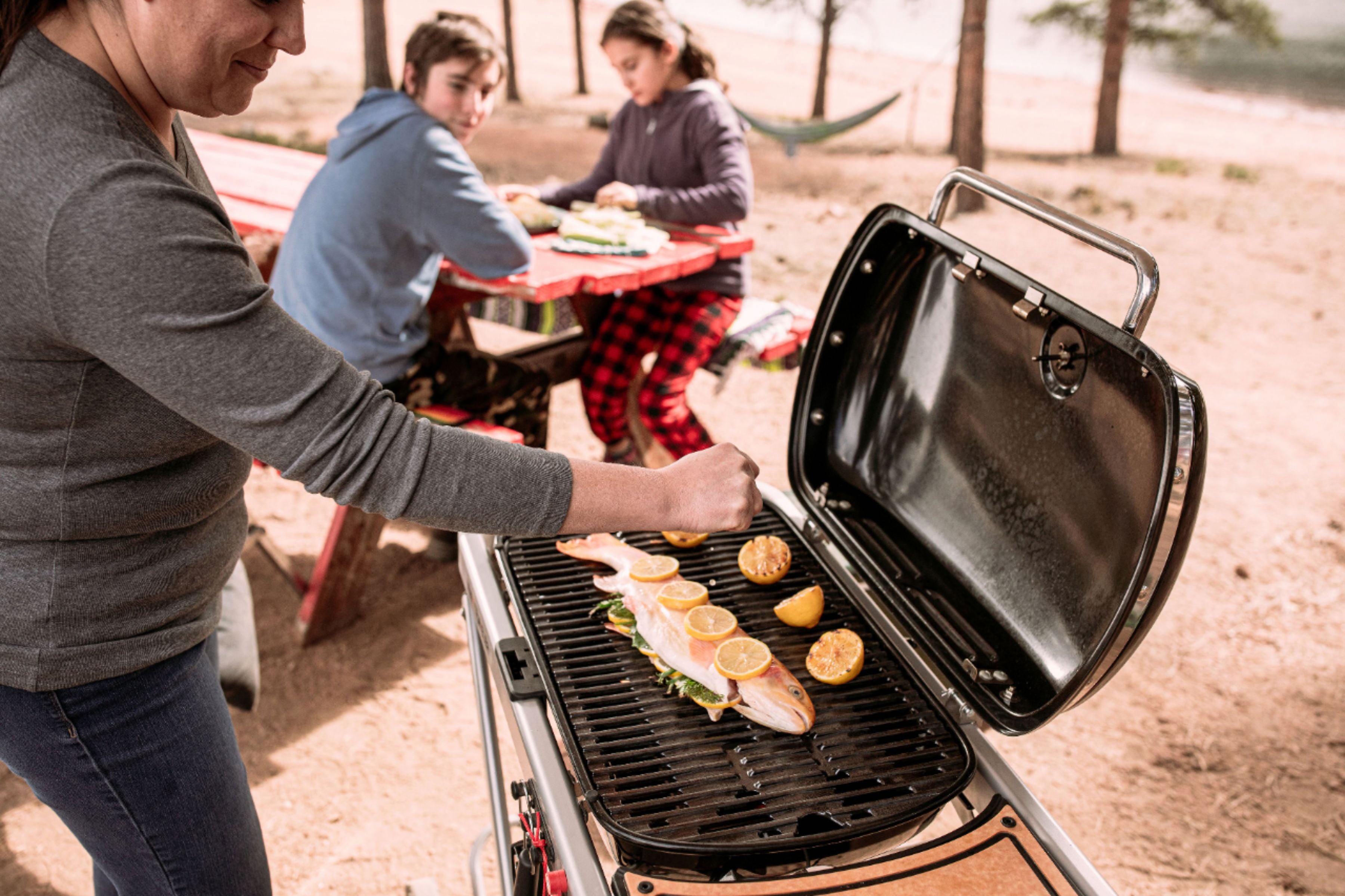 2025 Weber – Traveler Portable Gas Grill – Black