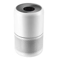 Air Purifier for Home Allergies Pets Hair in Bedroom & Standing Fan for Bedroom, 82ft CirculAir 120掳 Oscillating Fan
