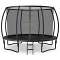 8/10/12FT ASTM Approved Outdoor Large Recreational Trampoline with Ladder & Enclosure Net Safety Pad