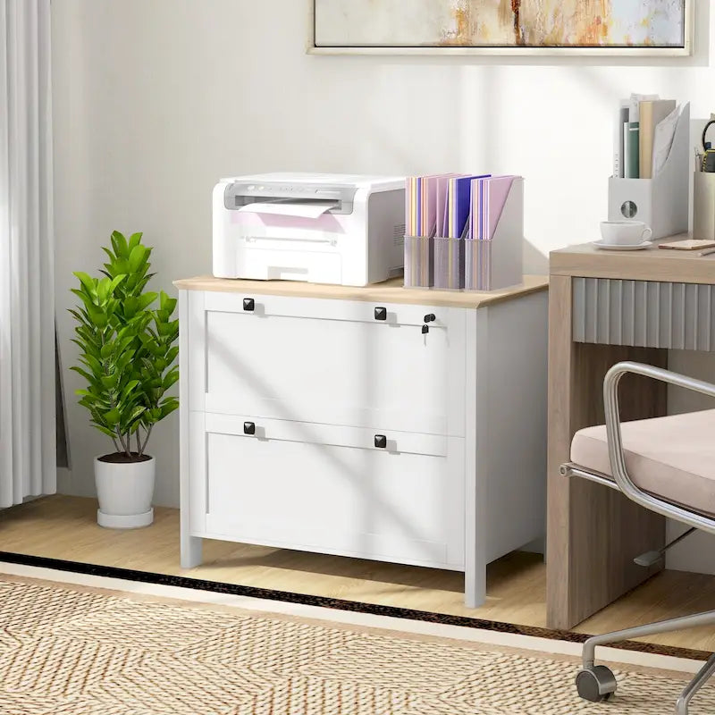 HOMCOM 2-Drawer Lateral File Cabinet with Lock and Adjustable Hanging Bar for Letter and A4 Files – Ideal for Home Office