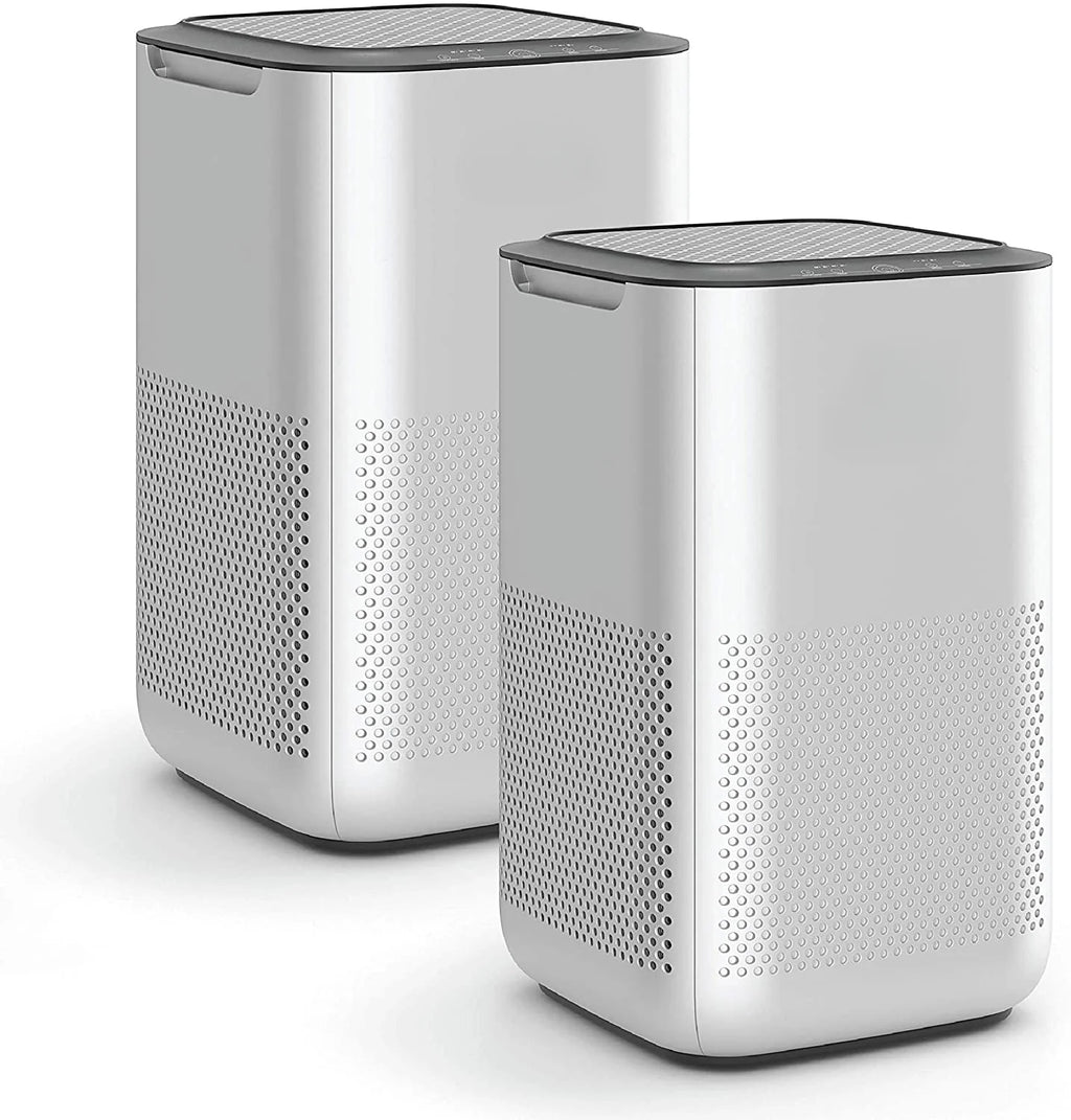 Air Purifier with H13 True HEPA Filter