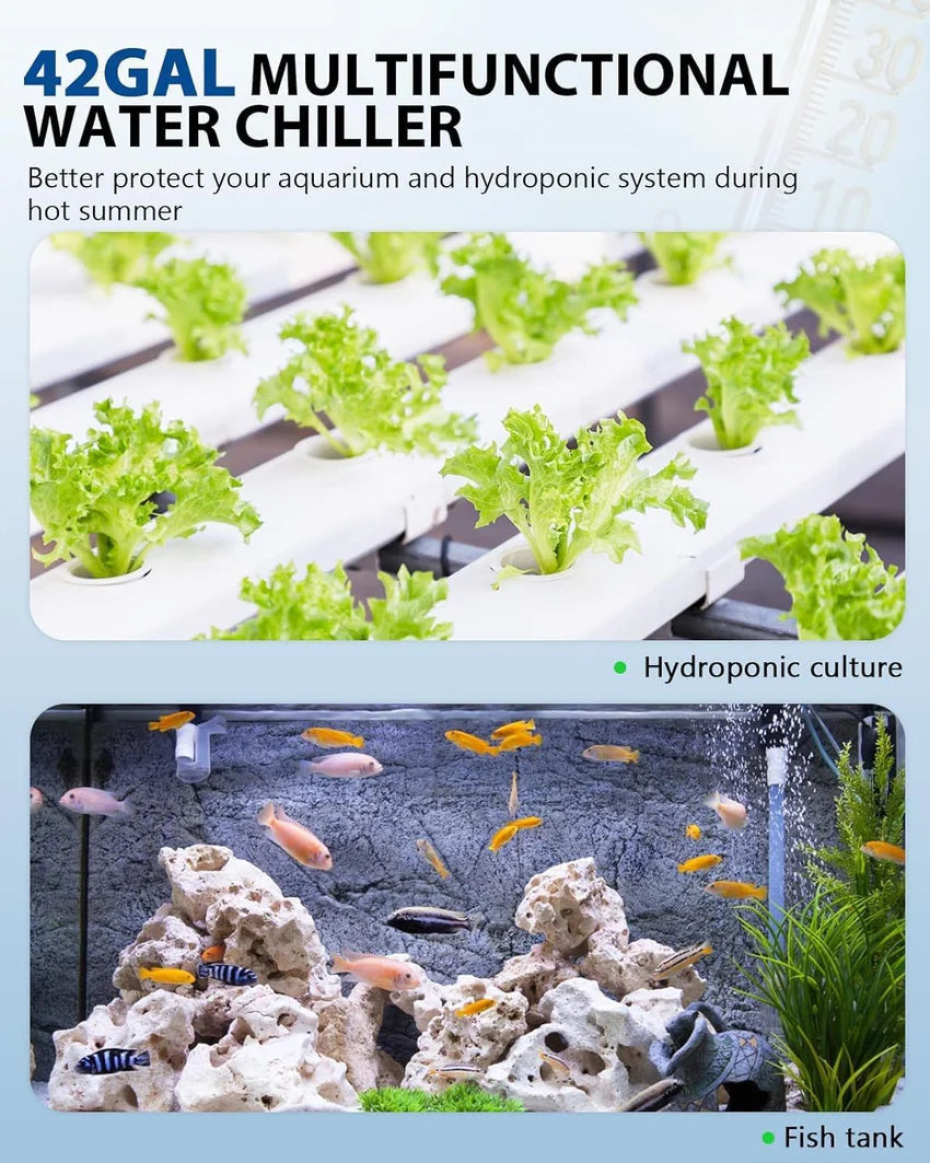 2025 Aquarium Chiller 42gal 1/10 HP Water Cooler Fish Tank Chiller Special Quiet Design Refrigeration Compressor for hydroponics Water weeds Jellyfish Coral Crystal Shrimp (42gal/160L)