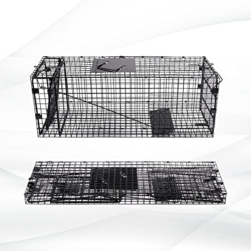 2025 Humane Way Folding 32 Inch Live Humane Animal Trap – Safe Traps for All Animals – Raccoons  Cats  Groundhogs  Opossums – 32′′x10′′x12′′ Black