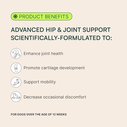 2025 Wuffes Chewable Dog Hip and Joint Supplement for Small & Medium Breeds – Glucosamine & Chondroitin Chews – Dog Joint Supplements & Vitamins – Extended Joint Care – 60 Ct