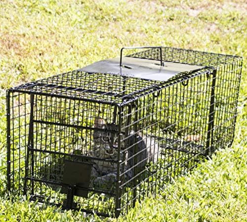 2025 Humane Way Folding 32 Inch Live Humane Animal Trap – Safe Traps for All Animals – Raccoons  Cats  Groundhogs  Opossums – 32′′x10′′x12′′ Black