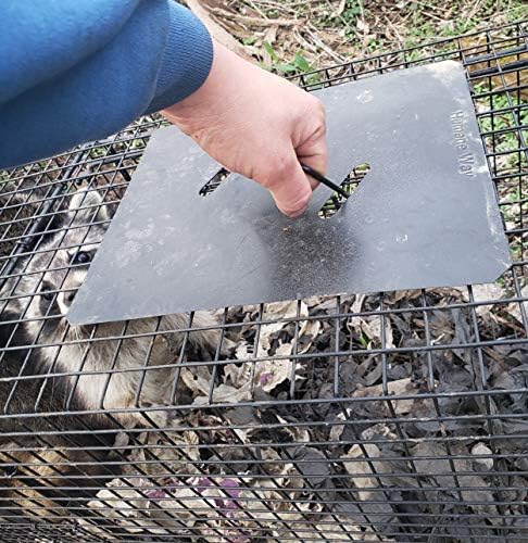 2025 Humane Way Folding 32 Inch Live Humane Animal Trap – Safe Traps for All Animals – Raccoons  Cats  Groundhogs  Opossums – 32′′x10′′x12′′ Black