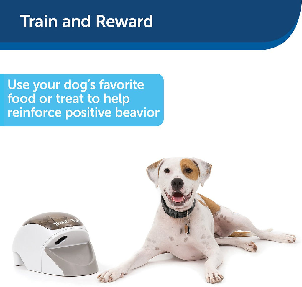 PetSafe Treat & Train ?Remote Treat Dispensing Dog Training System, Positive Reinforcement, Calm Behavior, Distraction Avoidance, Includes Training DVD, Target Wand & Remote, For Dogs 6 Months & Up