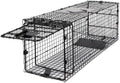 2025 Humane Way Folding 32 Inch Live Humane Animal Trap – Safe Traps for All Animals – Raccoons  Cats  Groundhogs  Opossums – 32′′x10′′x12′′ Black