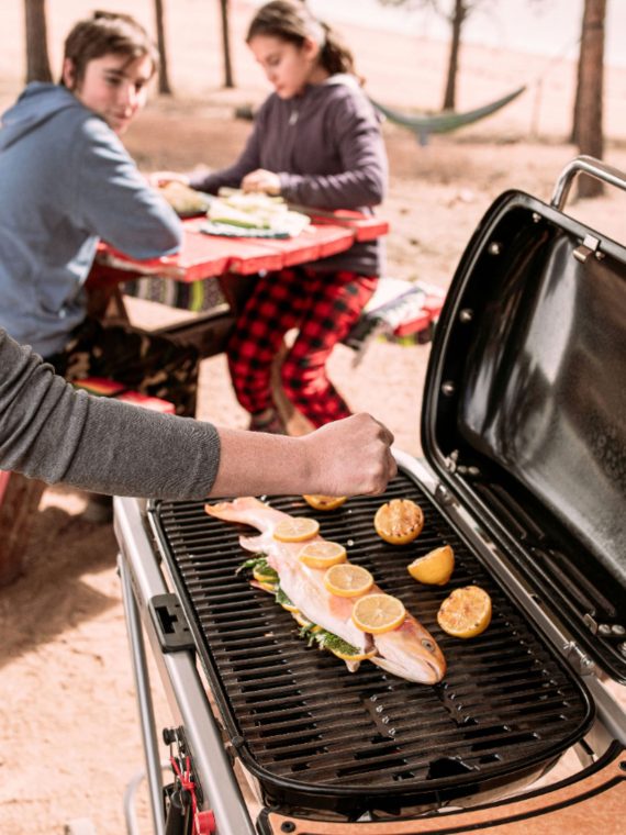 2025 Weber – Traveler Portable Gas Grill – Black
