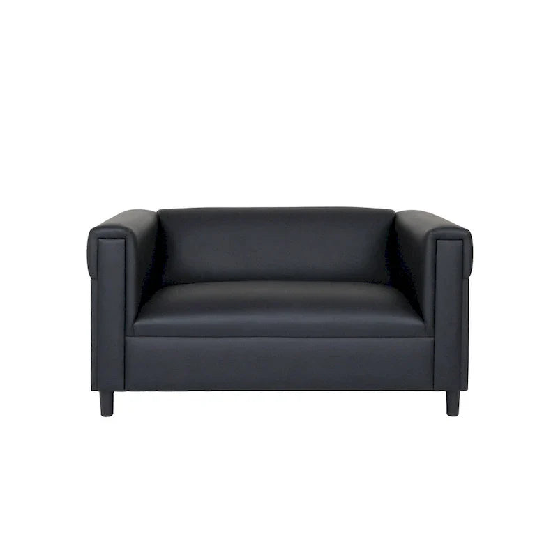 Mid-Century Modern Loveseat Sofa by Coast to Coast - Upholstered Faux Leather with Solid Wood Frame