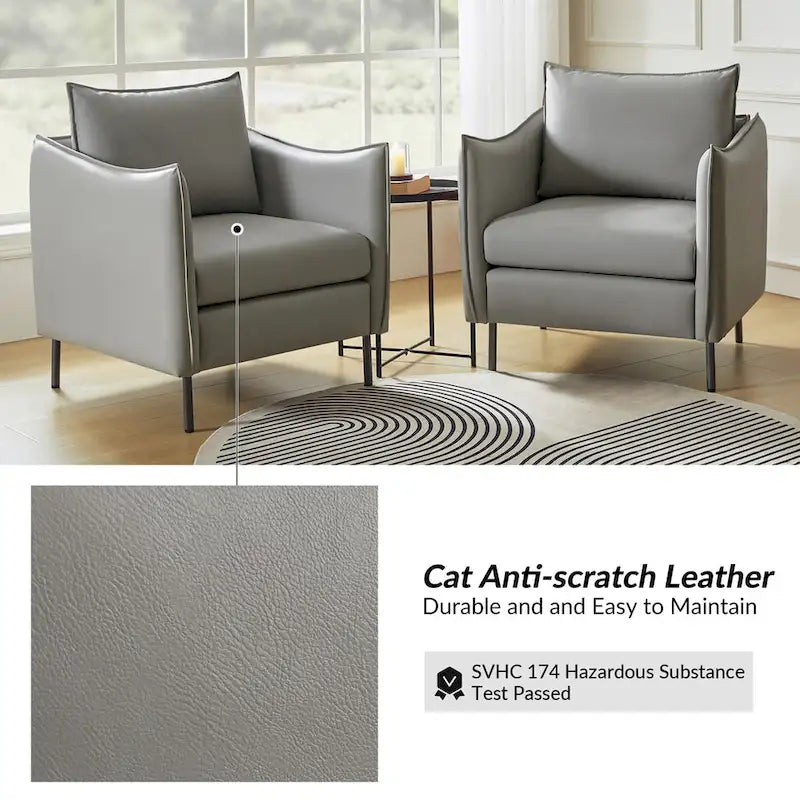 Set of 2 Christopher Modern Armchairs with Anti-Scratch Fabric and Black Metal Legs by HULALA HOME